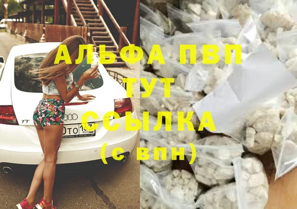 стаф Абаза