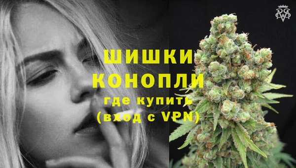 стаф Абаза