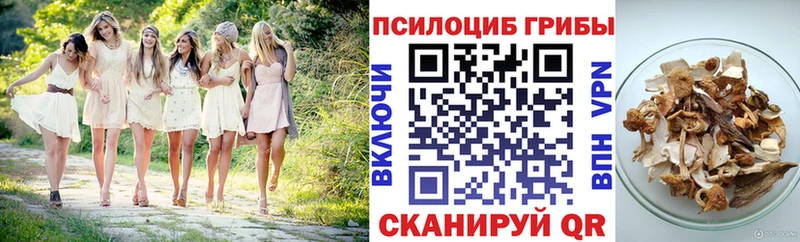 Псилоцибиновые грибы мухоморы  Дубовка 